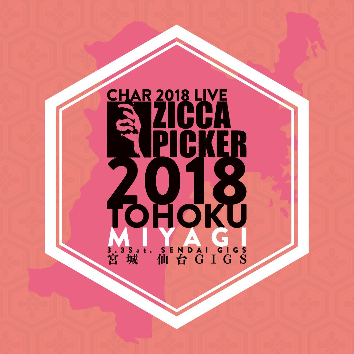 送料込 CHAR - ZICCA PICKER 2018 VOL.2 LIVE IN MIYAGI / 3.3 宮城 仙台GIGS公演